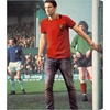 Picture of COPA - Belgium 1960's Short Sleeve Retro Shirt
