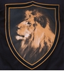 Picture of COPA Football - Holland Lion V-Neck T-Shirt - Black