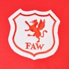 Picture of Wales Retro Football Shirt 1920
