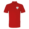 Picture of Rugby Vintage - Wales Polo - Red