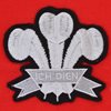 Picture of TOFFS - Wales Retro Rugby Shirt 1905