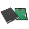 Picture of Mexico Retro Football Shirt 1980s + Number 9 (Hugo Sánchez)